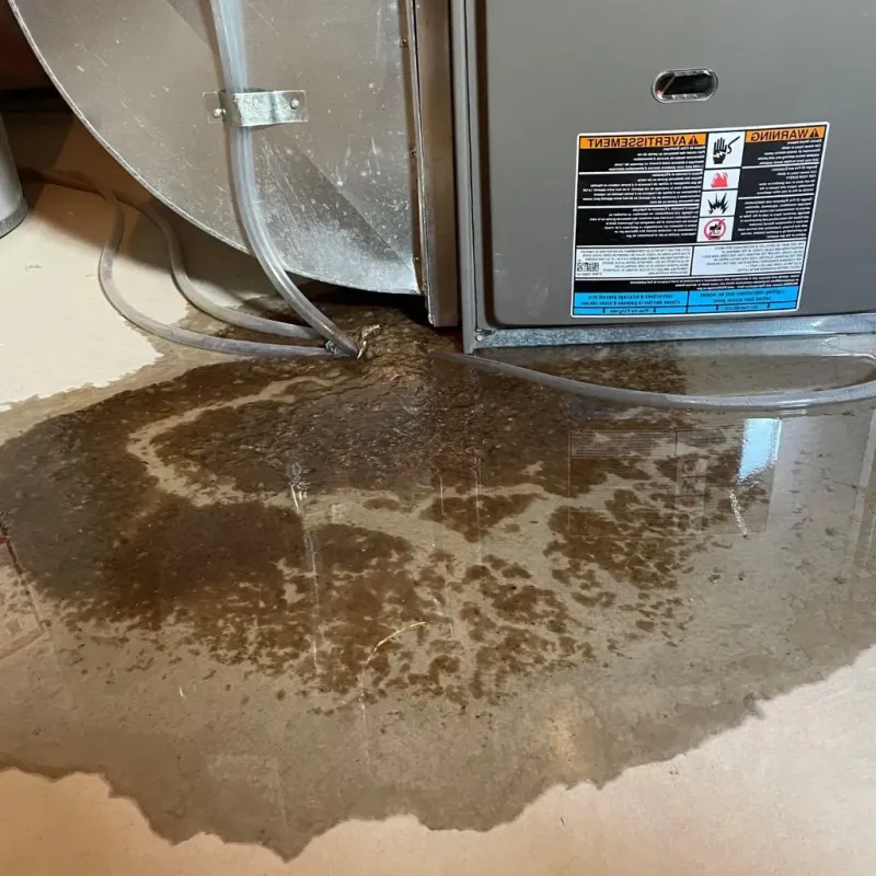 Pipe Burst and Leak Restoration in Trujillo Alto Municipio, PR